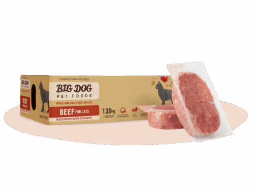 BIG DOG CAT BEEF PATTIES 1.38KG