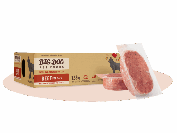 BIG DOG CAT BEEF PATTIES 1.38KG