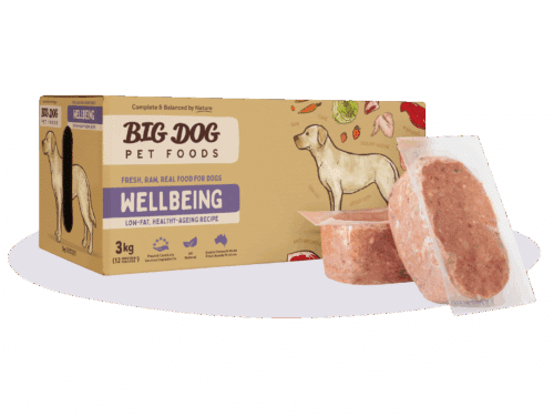 BIG DOG WELLBEING PATTIES 3KG
