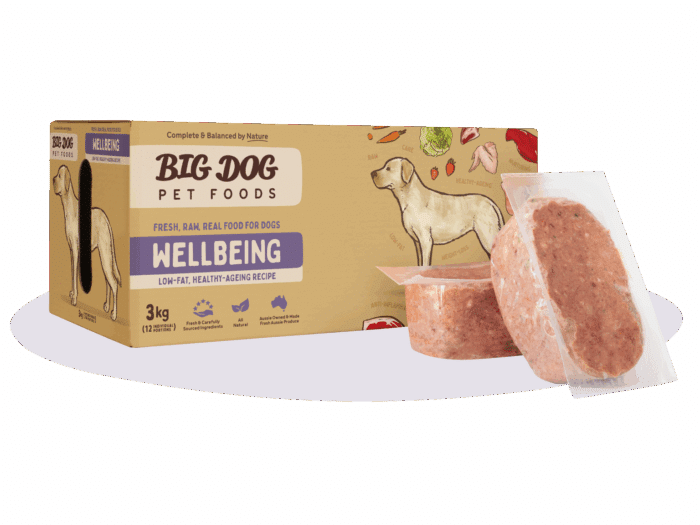 BIG DOG WELLBEING PATTIES 3KG