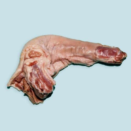 RIGHT START PURE DUCK NECK 1PK FROZEN