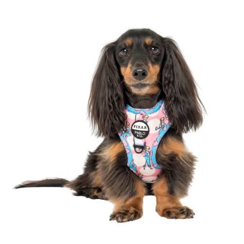 PABLO & CO BO BEEP HARNESS XL